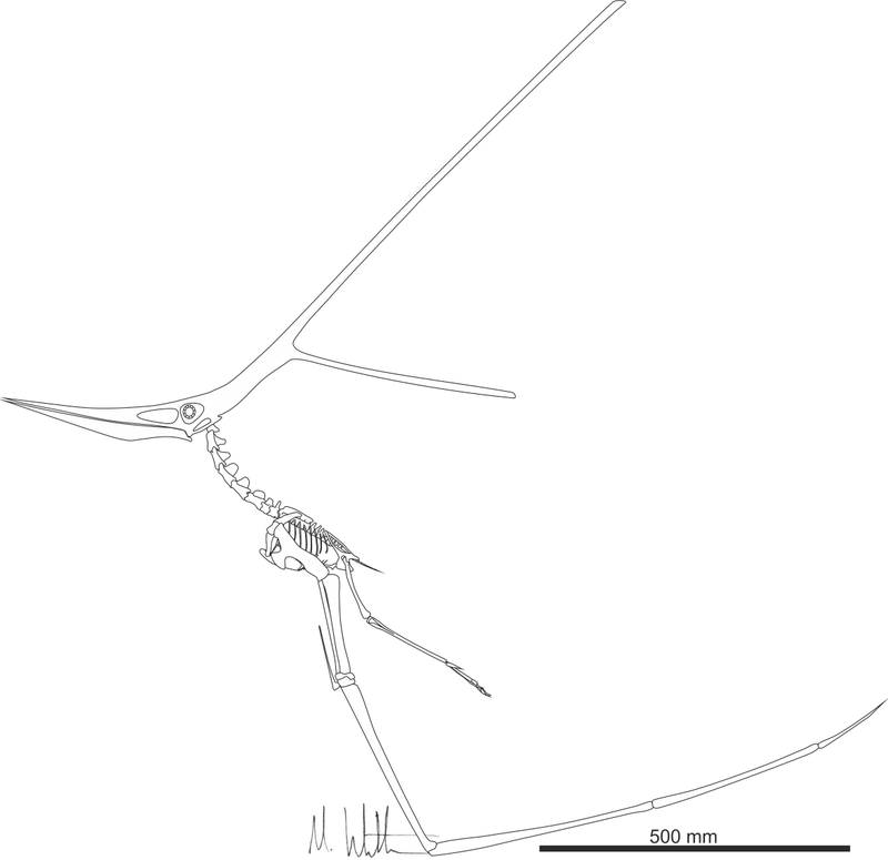 Illustration for article titled What would the world be like if pterosaurs and humans coexisted today? (Part II)